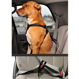 EzyDog Car Restraint Black