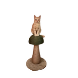 Green Mushroom Cat Scratching Post with Interactive Ball Toy
