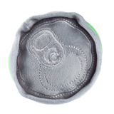 Topo Chiwawa Ranch Wagger Dog Toy