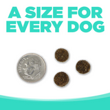 NutriSource Choice Performance Chicken Meal & Barley 40lb