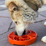 Soda Pup Sun & Moon Orange Slow Feeder Bowl