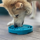 Soda Pup Baja Seafoam Slow Feeder Bowl