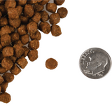 Fromm 4 Star Cat Trout & Whitefish