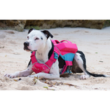 Bay Dog Life Jacket Monterey Bay Offshore Pink Sunset