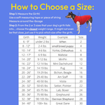 Chart for choosing a dog coat size with measurements and examples on a blue background