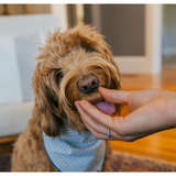 Pill Buddy Naturals Grilled Duck 30ct