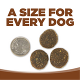 NutriSource Large Breed Adult GF Lamb Dog