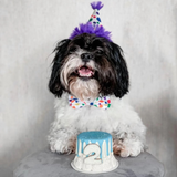 Huxley & Kent Happy Barkday Bow Tie Small