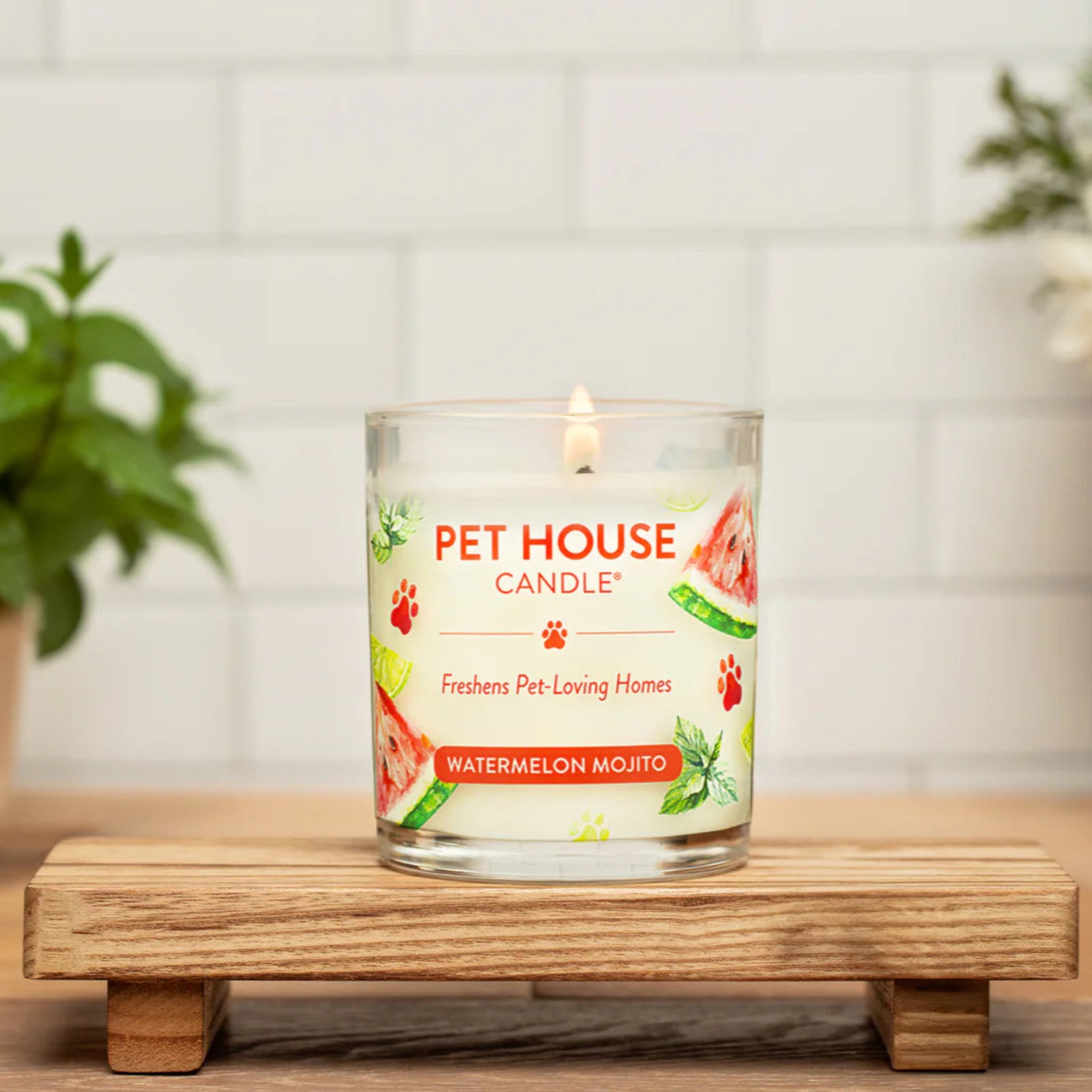 Pet House Candle on a wooden stand with plants and flowers in the background