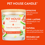 Pet House Candle with watermelon mojito flavor on an orange background