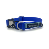 Goldpaw Featherweight SwiftLock Collar Denver
