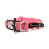 Goldpaw Featherweight SwiftLock Collar Palm Springs