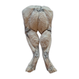 Bones & Co Freeze-Dried Frog Legs