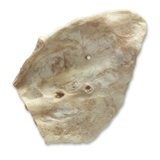 Bones & Co Freeze-Dried Pig Ears