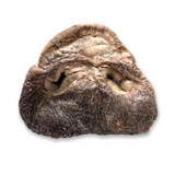 Bones & Co Freeze-Dried Pig Snouts