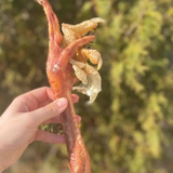 What The Raw Turkey Foot