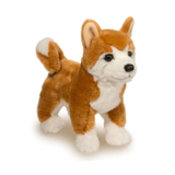 Douglas Dunham Shiba Inu