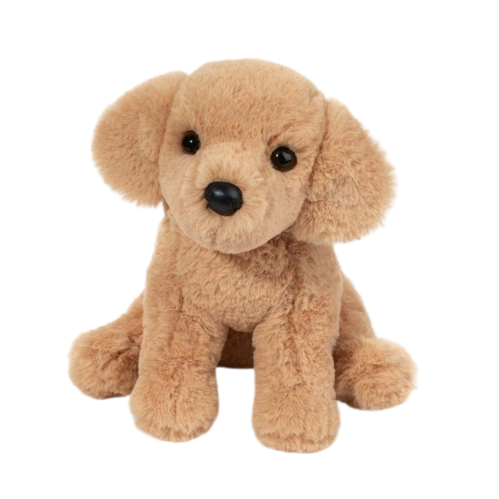 Plush dog toy on a white background