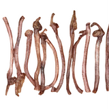 Furever Fierce Duck Trachea