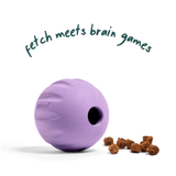 Woof Dog Forager Flyball Toy