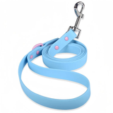 Waterproof Leash Blue/Pink Medium
