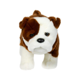 Douglas Hardy Bulldog