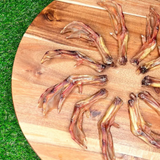 Furever Fierce Duck Feet Bulk