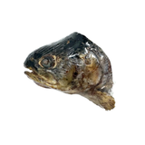 Momentum Rainbow Trout Head