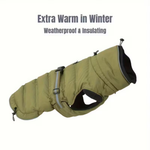 Green dog coat with text 'Extra Warm in Winter' and 'Weatherproof & Insulating' on a white background