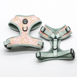 Zoe Dog Harness