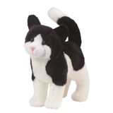Douglas Scooter Black & White Cat