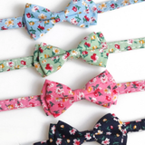 Mokka Floral Bow Tie Cat Collar