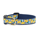 Up Country Make Lemonade Collar