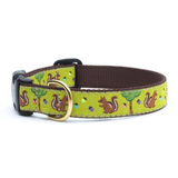 Up Country Nuts Collar