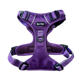 Tails and Trails Elderberry Adventure Harness