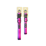 Tails and Trails Sunrise Trail Collar