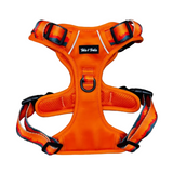 Tails and Trails Sahara Adventure Harness