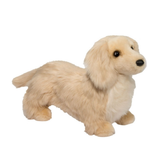 Douglas Haisley Golden Dachshund