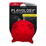 Playology Sensory Ball Beef Puppy
