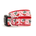 Dog collar with cherry pattern on a white background