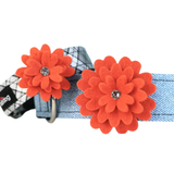 A light blue denim-style pet collar with two large orange felt flower embellishments on the front, each with a small clear rhinestone center, shown on a white background.