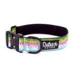 Dog collar with colorful rainbow trout skin pattern and 'Outback Hound' branding on a white background