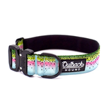 Dog collar with colorful rainbow trout skin pattern and 'Outback Hound' branding on a white background