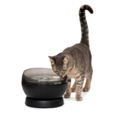 Cat interacting with a PetSafe water fountain on a white background