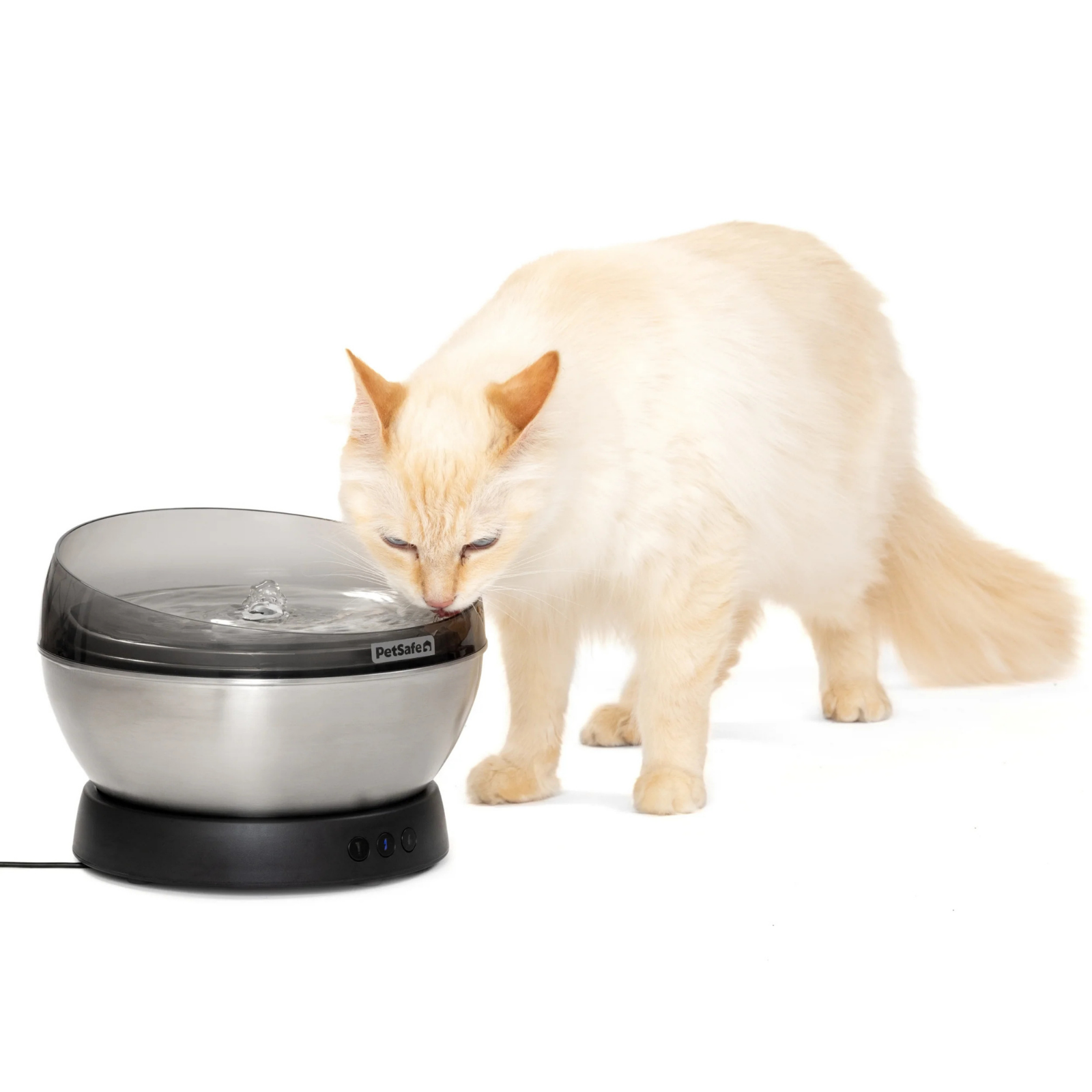 Cat drinking from a PetSafe water fountain on a white background