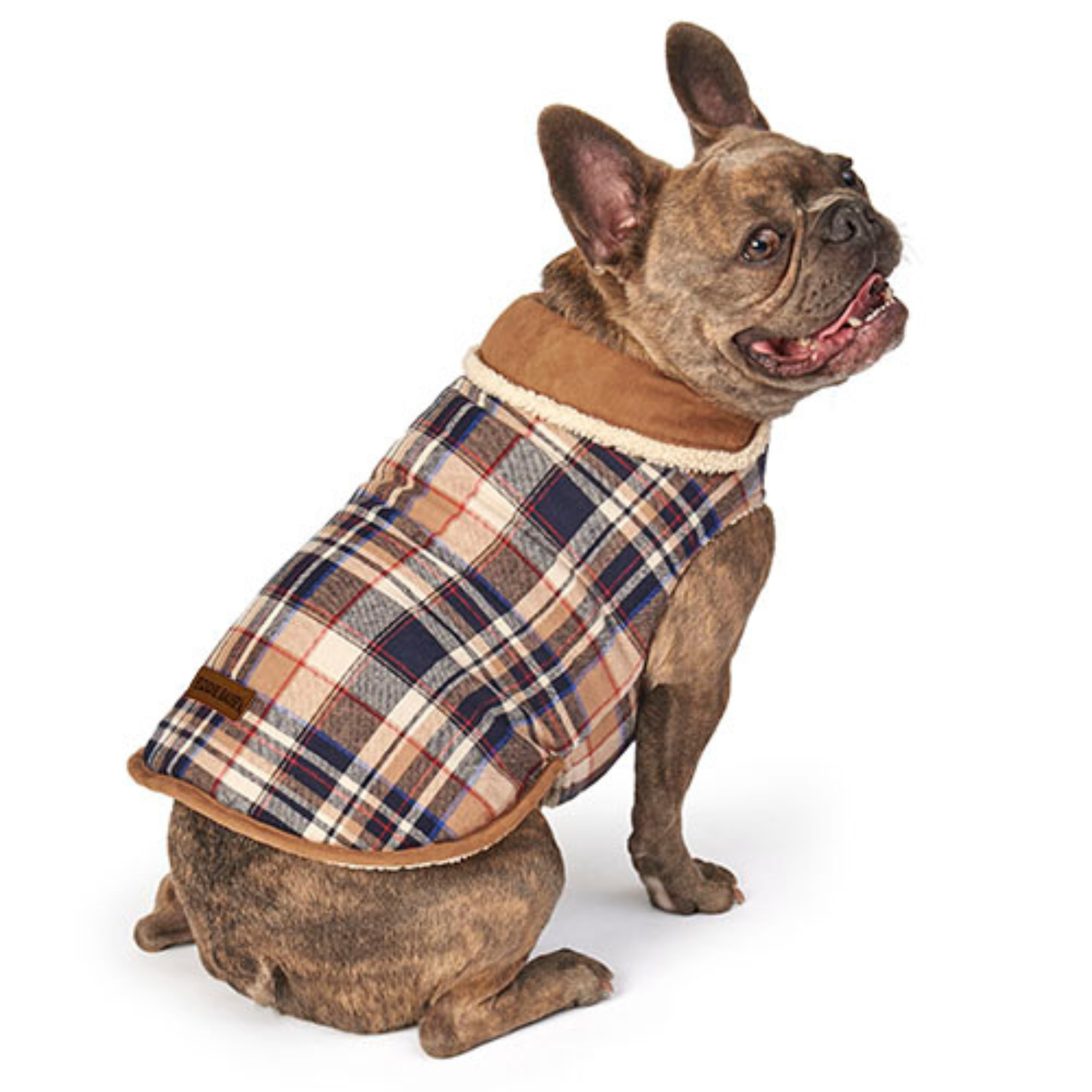Dog from Behind Wearing a Reversible Vest in a Oatmeal Plaid Color