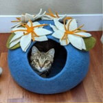 A dark blue felt pet cave with white and orange flowers with green leaves on the top and a tabby cat inside. 