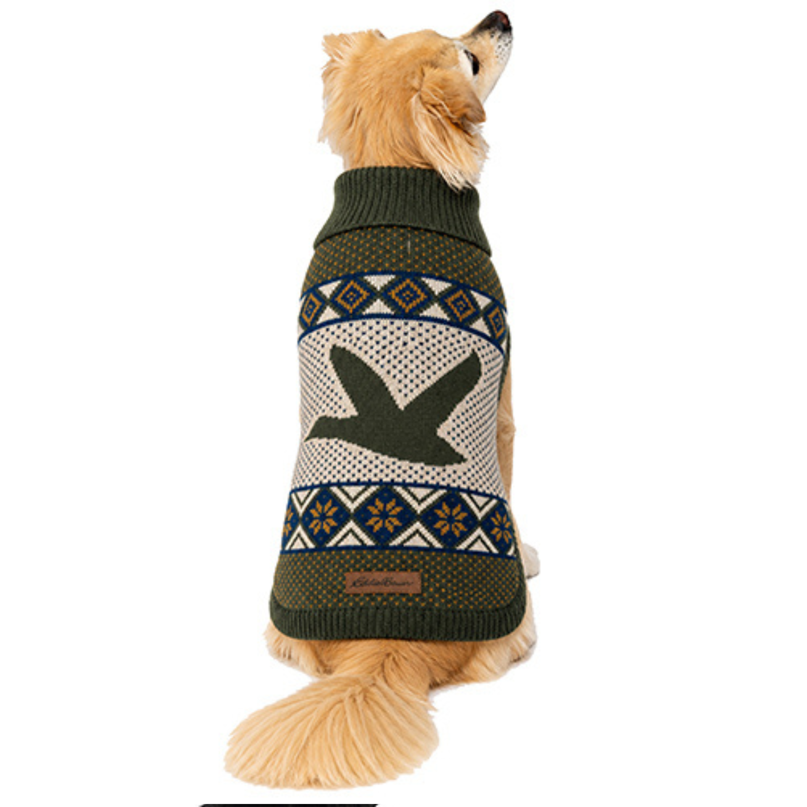 A golden retriever dog wearing a knit pet sweater with a dark green turtleneck, navy and cream geometric borders, and a dark green goose silhouette on the back, shown against a plain white background.