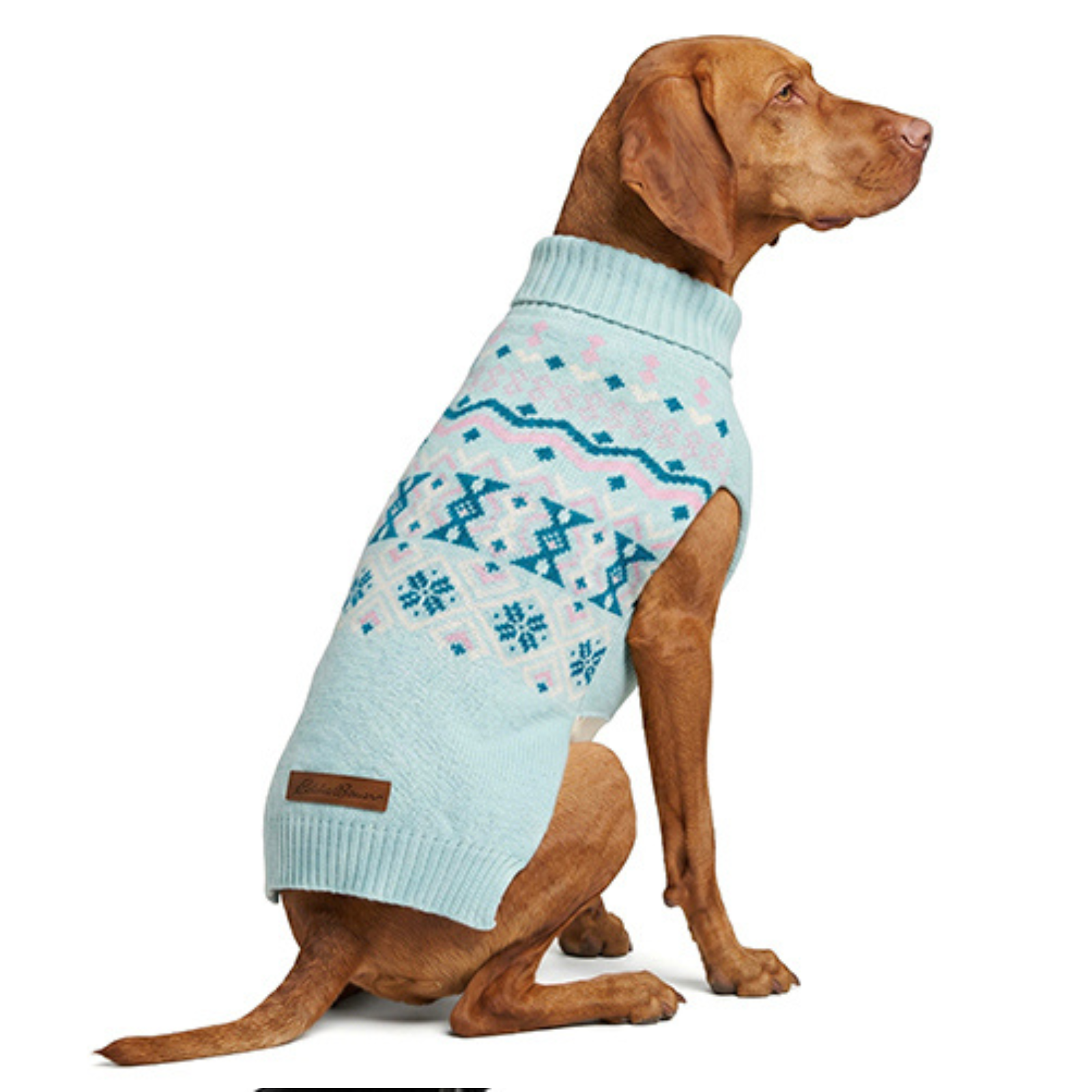 A brown dog wearing a light blue knit sweater with a pink and blue Fair Isle pattern, shown from the side against a white background.