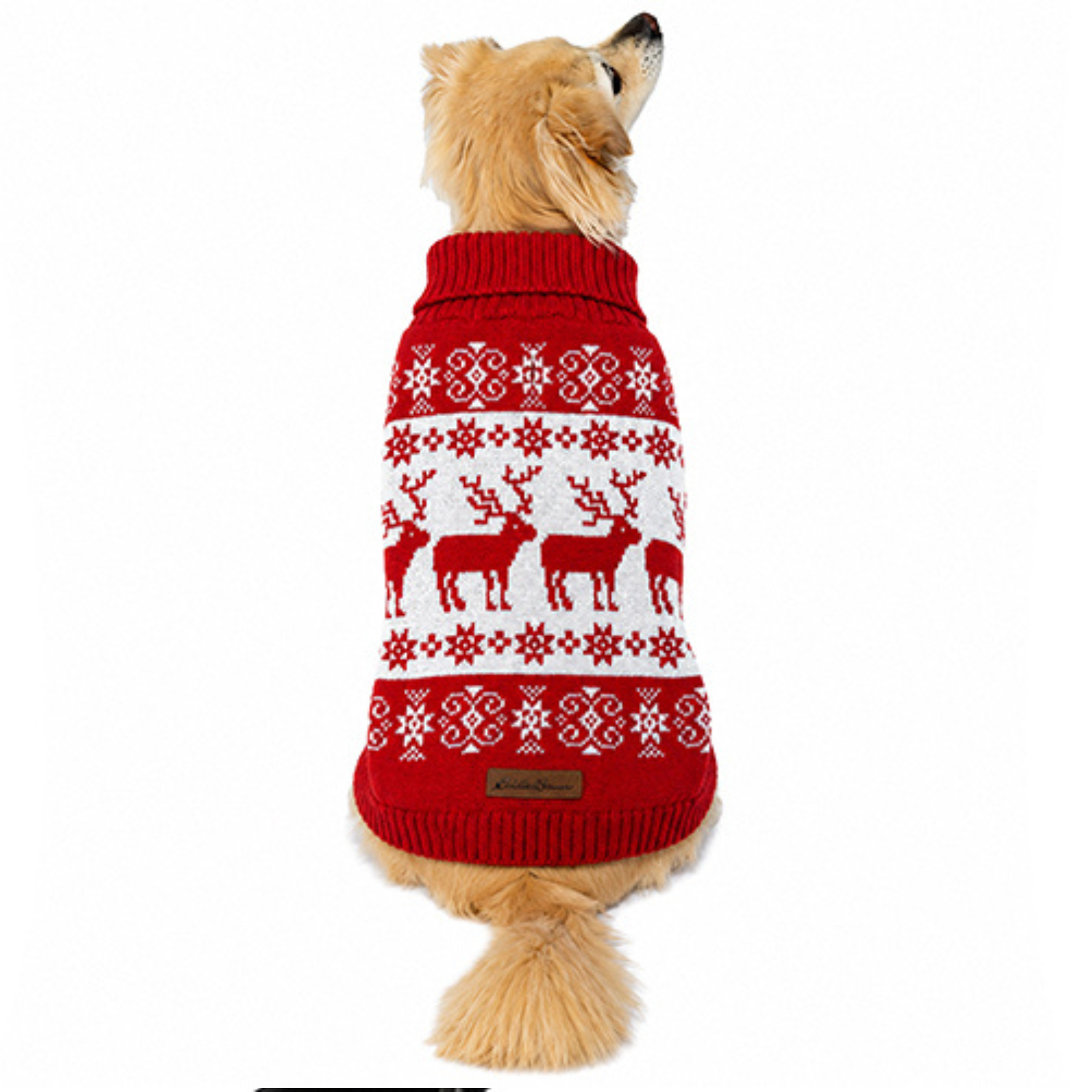 A golden retriever dog viewed from behind wearing a red and white knit sweater with a holiday pattern of reindeer and snowflakes, on a plain white background.
